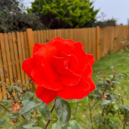 The Hébergement de vacances *