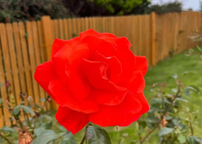 The Hébergement de vacances *